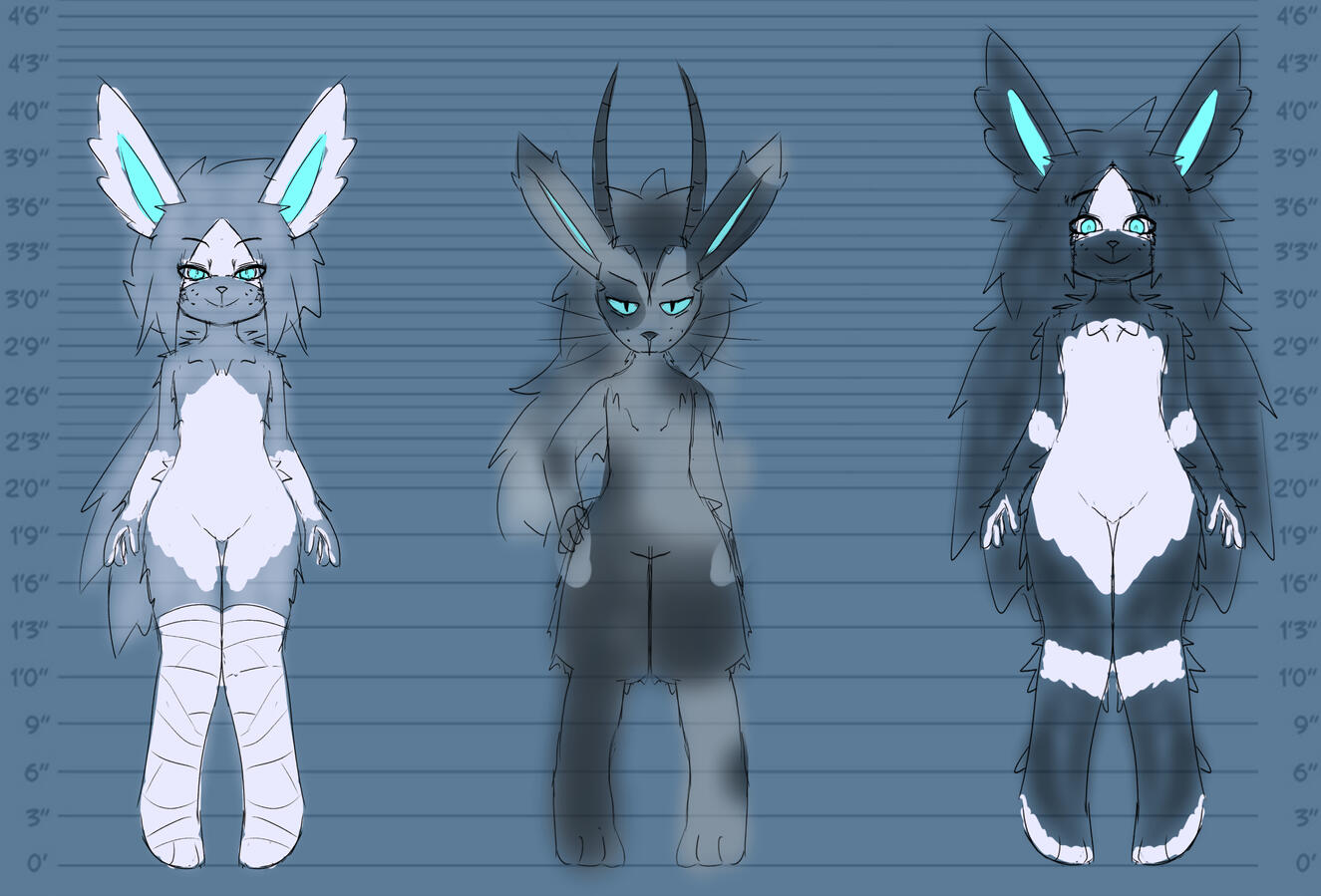 Jackalope