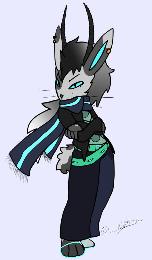 Jackalope Clothes