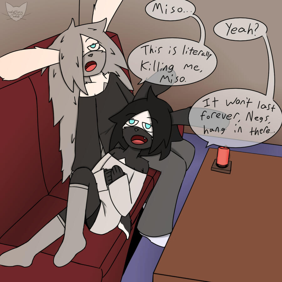 Negi & Miso Lockdown